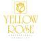 Yellow Rose